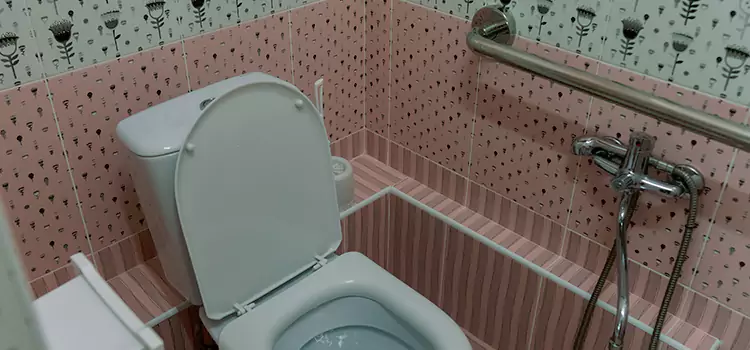 Meeting Diverse Needs With Accessible Restroom Solutions in Edwardsville, IL